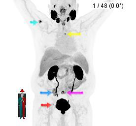 case-study-img1
