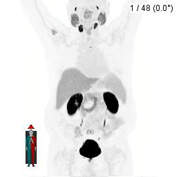 case-study-img2